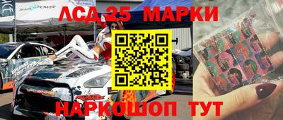 индика Гусев