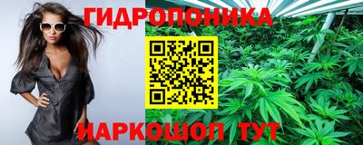 индика Гусев