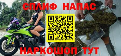 индика Гусев