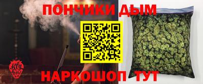 шишки Гусиноозёрск