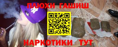 индика Гусев